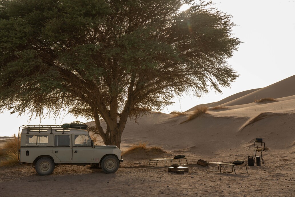 Desert camp setup beneath a large acacia tree, with a vintage off-road vehicle parked nearby, low seating arranged around a fire pit, and soft golden sunlight casting long shadows over sand dunes in the background.